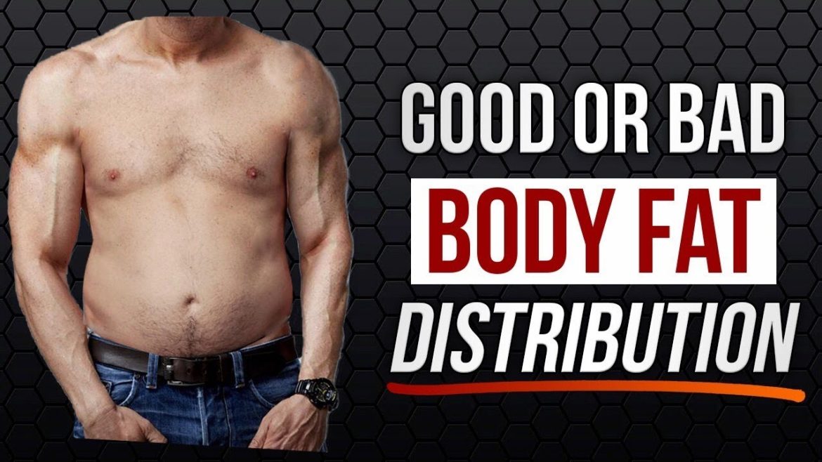 Everything About Your Body Fat Distribution